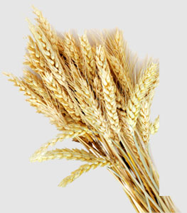 EVO厅·(中国区)视讯官网