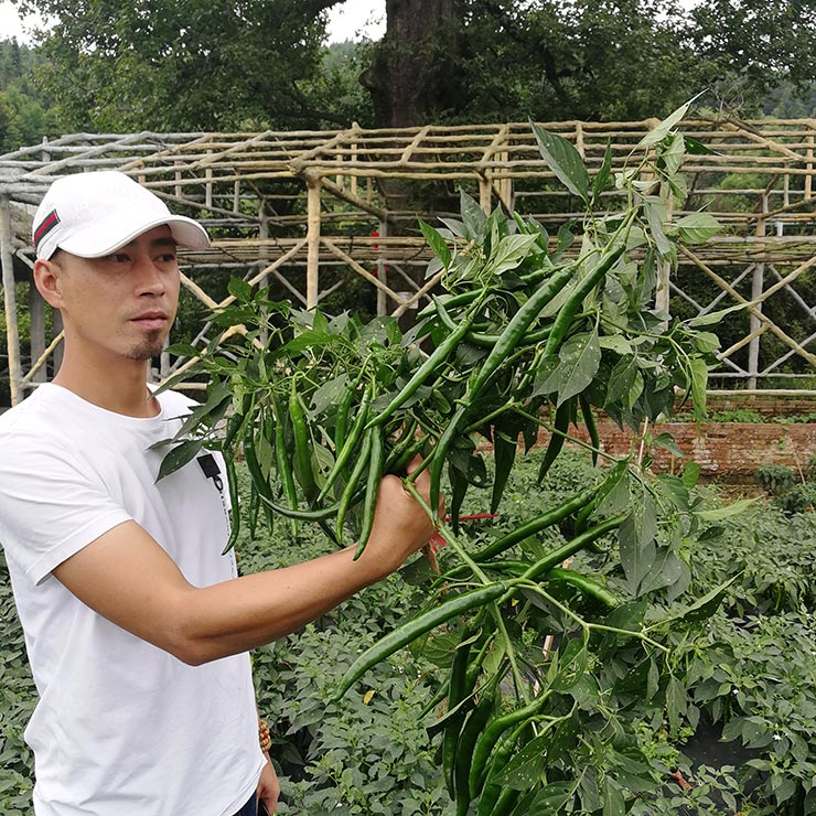 EVO厅·(中国区)视讯官网