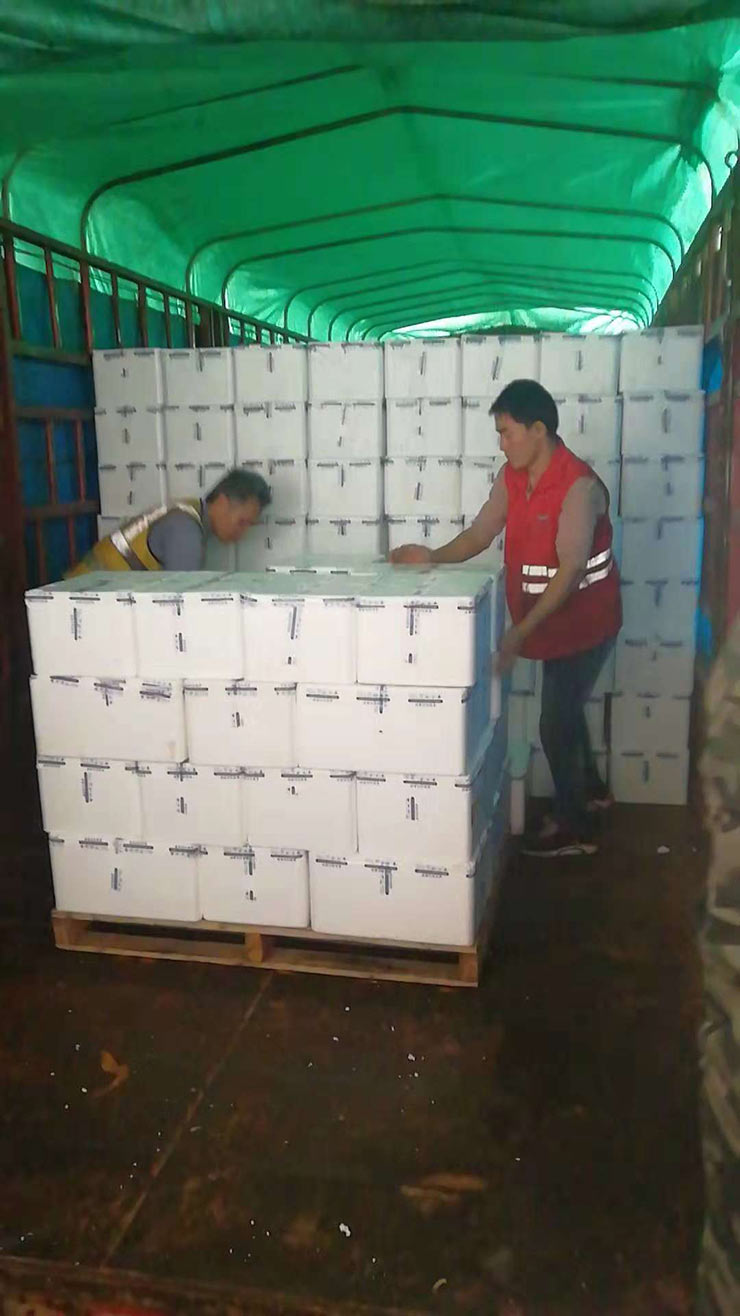 EVO厅·(中国区)视讯官网