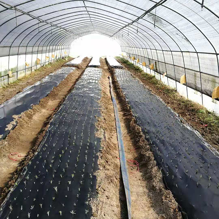 EVO厅·(中国区)视讯官网