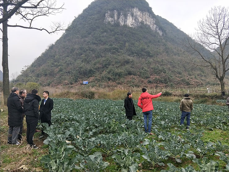 EVO厅·(中国区)视讯官网