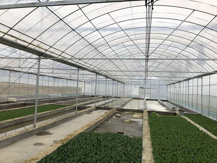 EVO厅·(中国区)视讯官网