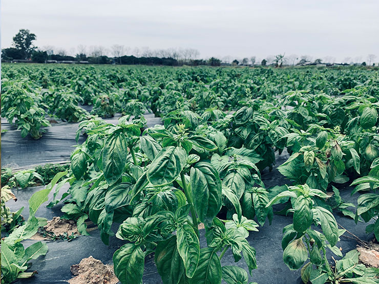 EVO厅·(中国区)视讯官网