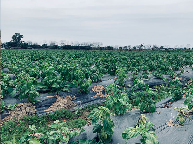 EVO厅·(中国区)视讯官网