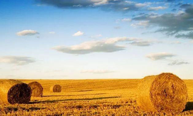 EVO厅·(中国区)视讯官网