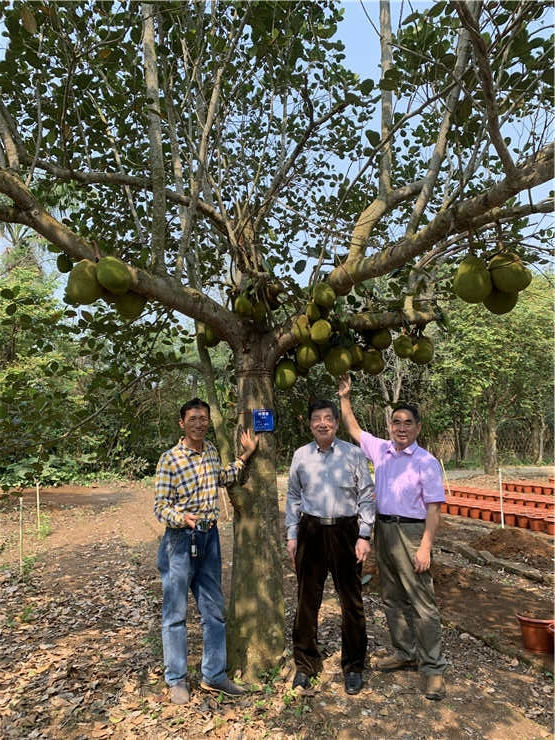 EVO厅·(中国区)视讯官网