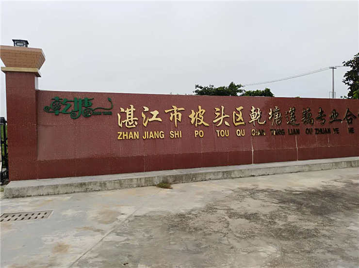 EVO厅·(中国区)视讯官网