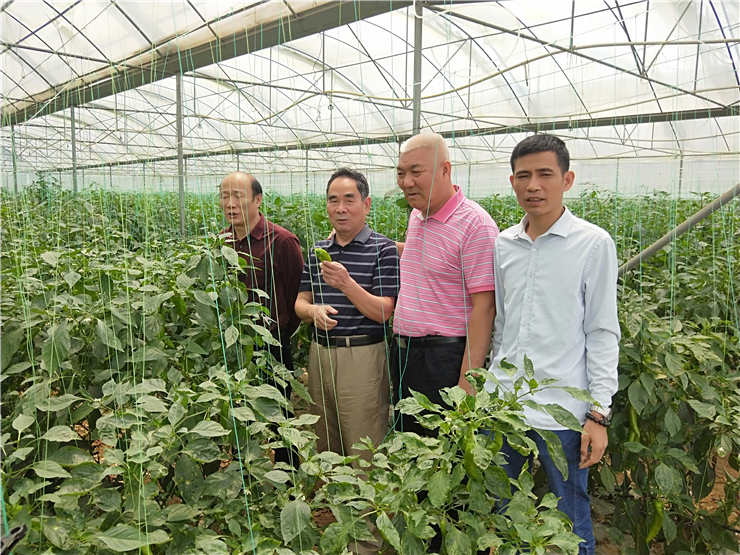 EVO厅·(中国区)视讯官网