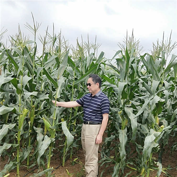 EVO厅·(中国区)视讯官网