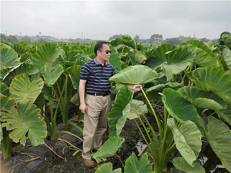 EVO厅·(中国区)视讯官网