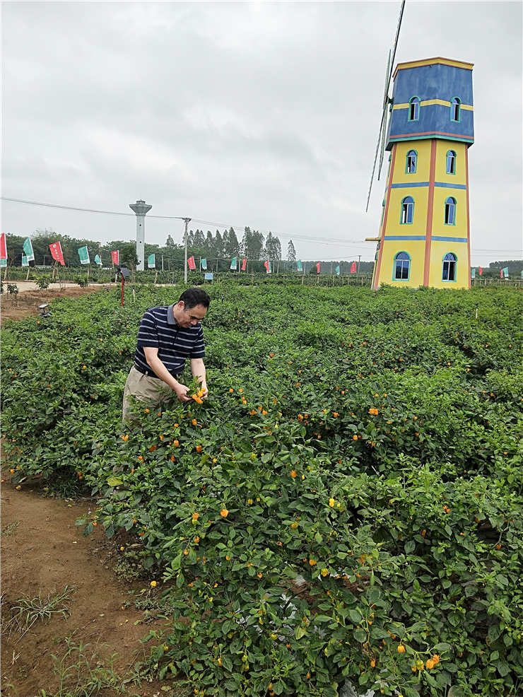 EVO厅·(中国区)视讯官网