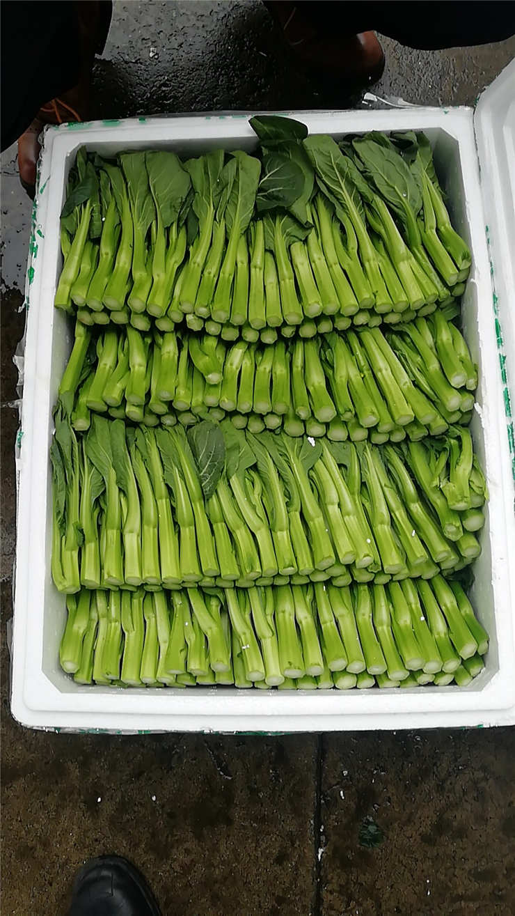 EVO厅·(中国区)视讯官网