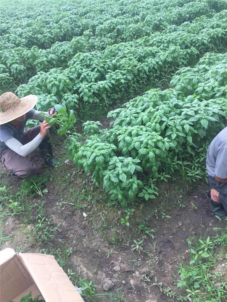 EVO厅·(中国区)视讯官网