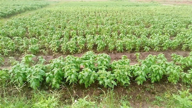 EVO厅·(中国区)视讯官网