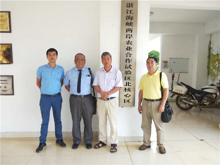 EVO厅·(中国区)视讯官网