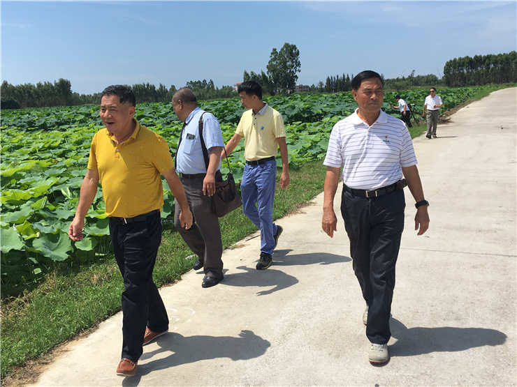 EVO厅·(中国区)视讯官网