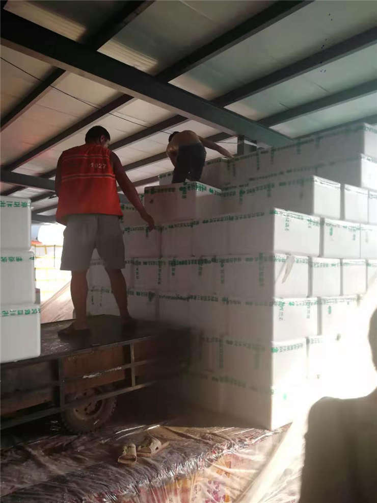 EVO厅·(中国区)视讯官网