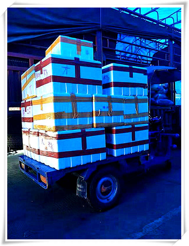 EVO厅·(中国区)视讯官网