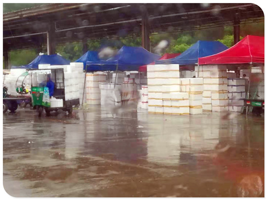 EVO厅·(中国区)视讯官网