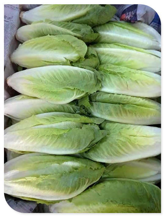 EVO厅·(中国区)视讯官网