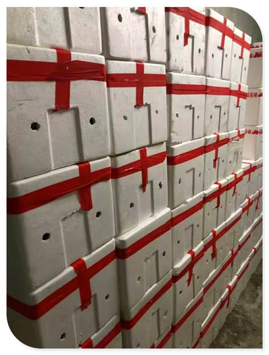 EVO厅·(中国区)视讯官网