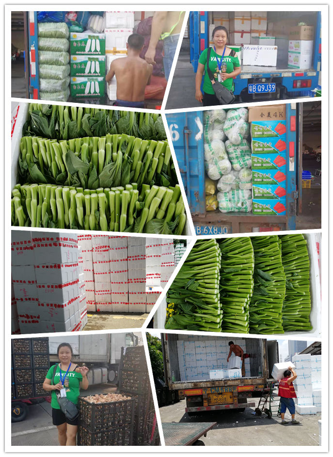 EVO厅·(中国区)视讯官网