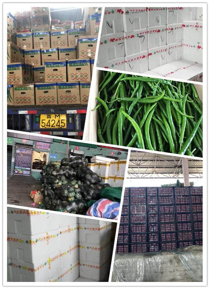 EVO厅·(中国区)视讯官网