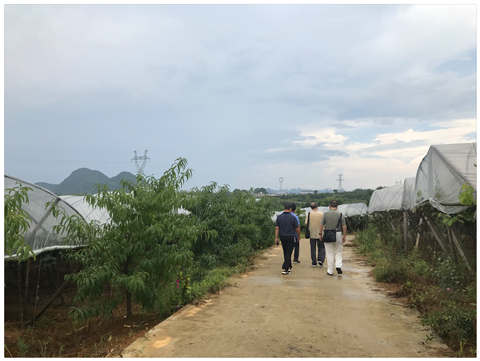 EVO厅·(中国区)视讯官网