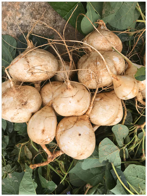 EVO厅·(中国区)视讯官网