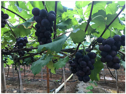 EVO厅·(中国区)视讯官网