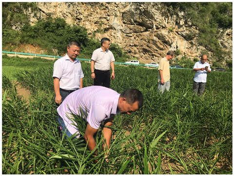 EVO厅·(中国区)视讯官网