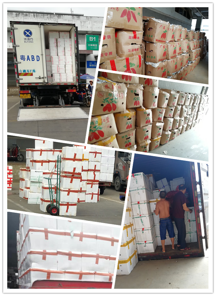 EVO厅·(中国区)视讯官网