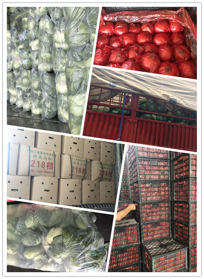 EVO厅·(中国区)视讯官网