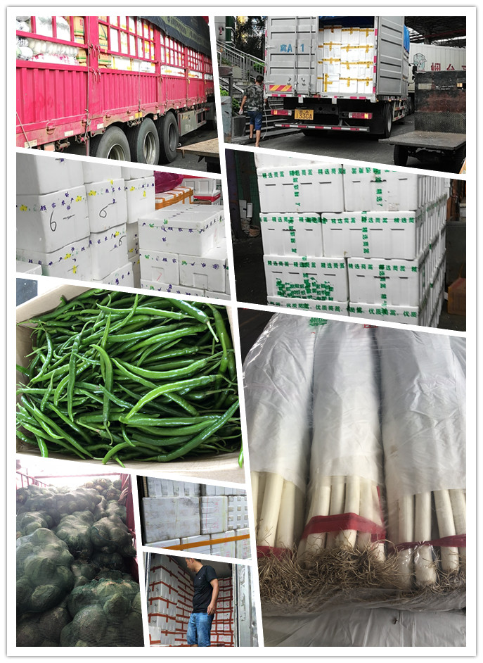 EVO厅·(中国区)视讯官网