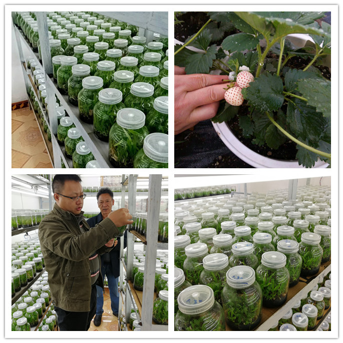 EVO厅·(中国区)视讯官网