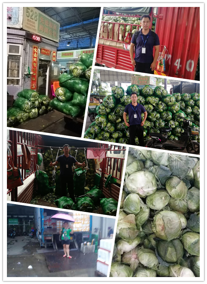 EVO厅·(中国区)视讯官网