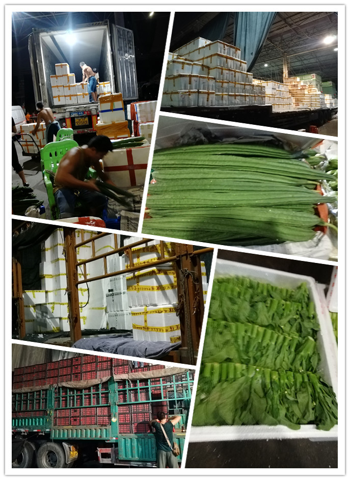 EVO厅·(中国区)视讯官网