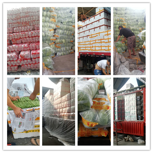 EVO厅·(中国区)视讯官网