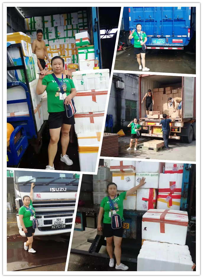 EVO厅·(中国区)视讯官网