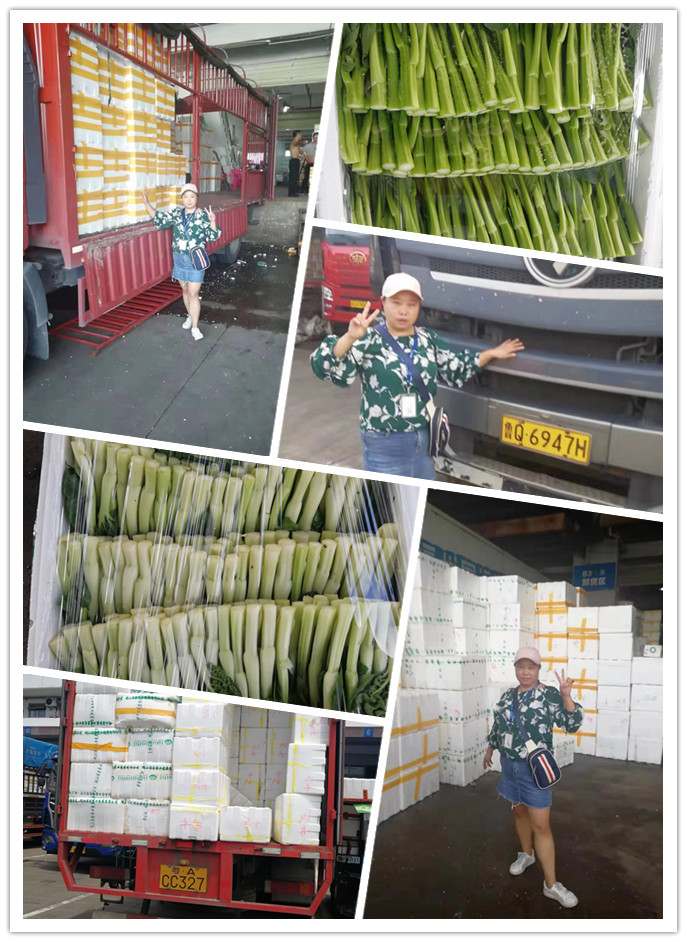 EVO厅·(中国区)视讯官网