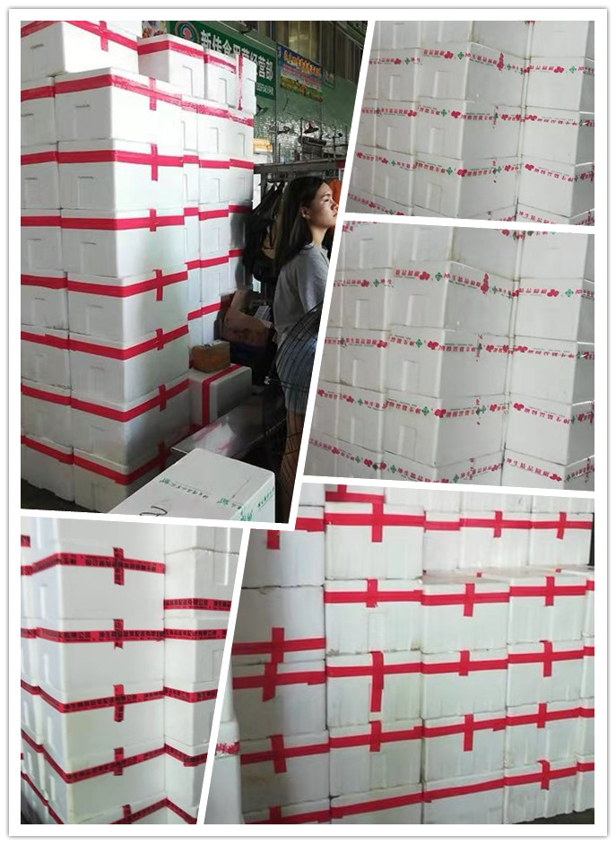 EVO厅·(中国区)视讯官网