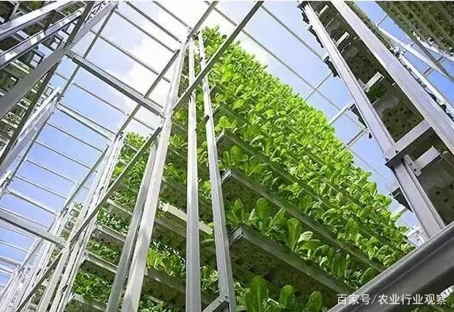 EVO厅·(中国区)视讯官网