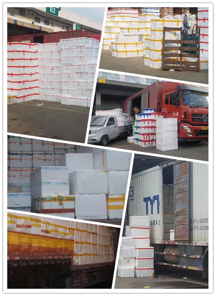 EVO厅·(中国区)视讯官网