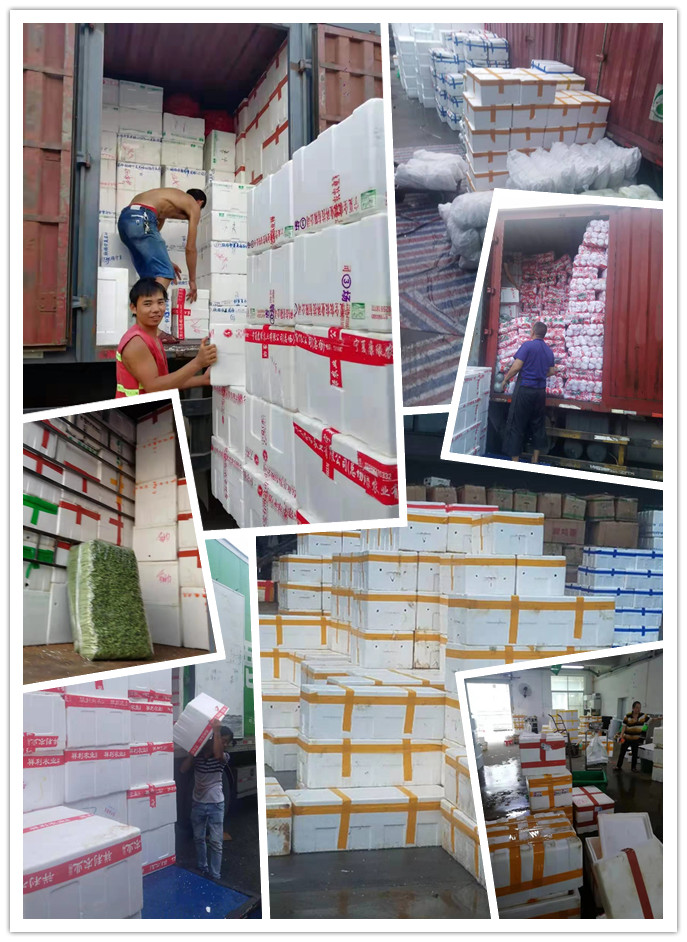 EVO厅·(中国区)视讯官网