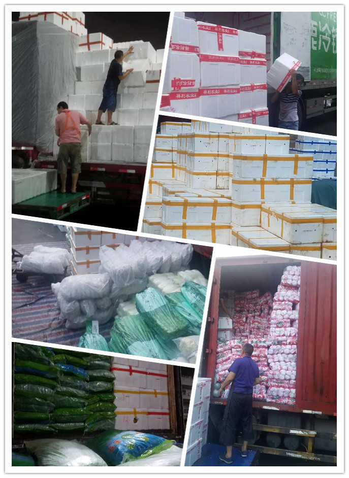 EVO厅·(中国区)视讯官网