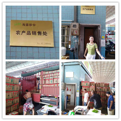 EVO厅·(中国区)视讯官网