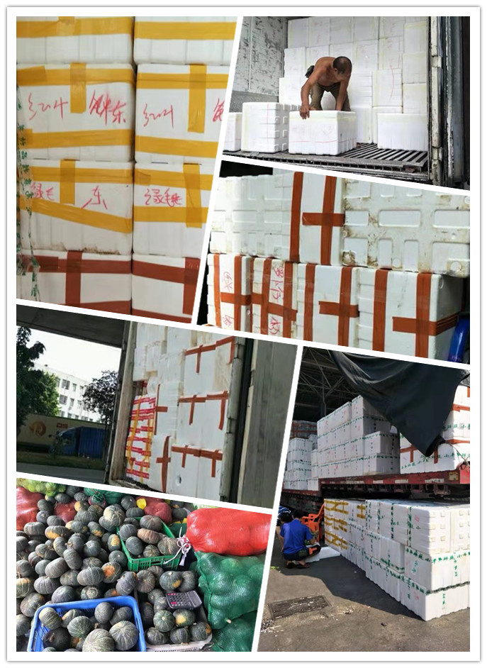 EVO厅·(中国区)视讯官网