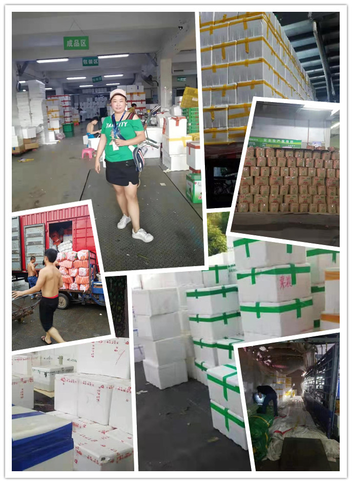 EVO厅·(中国区)视讯官网