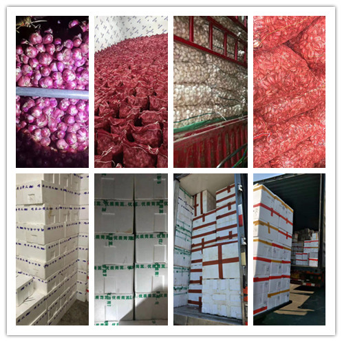 EVO厅·(中国区)视讯官网