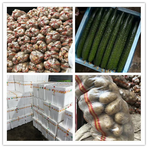 EVO厅·(中国区)视讯官网